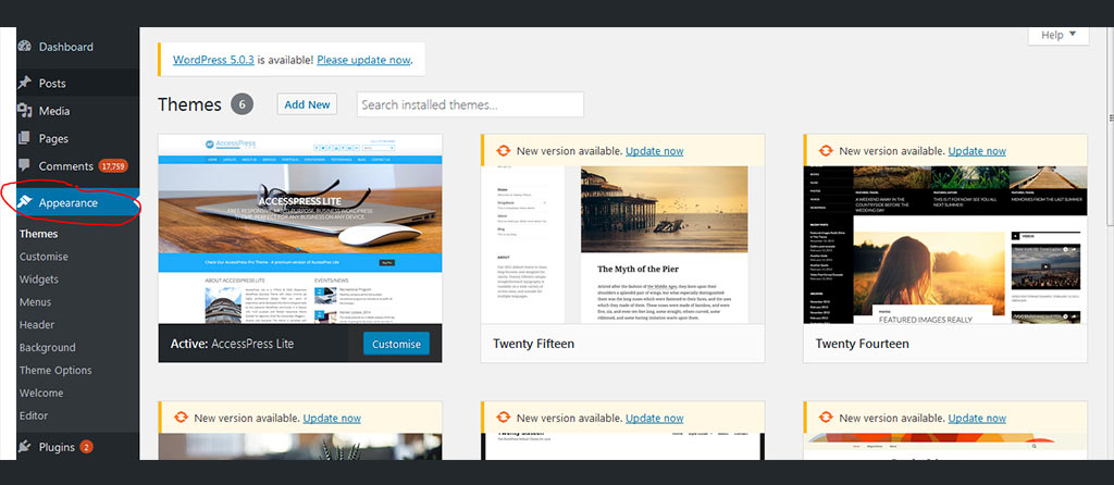 What Is A Theme? (And The Steps To Choose One) 3 Select the appearance option