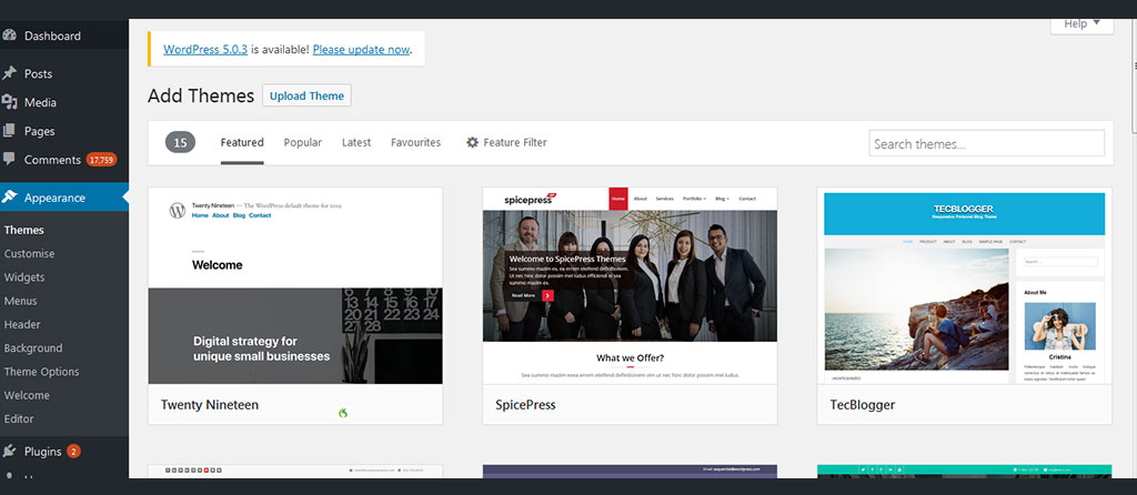 What Is A Theme? (And The Steps To Choose One) 5 Searching for themes
