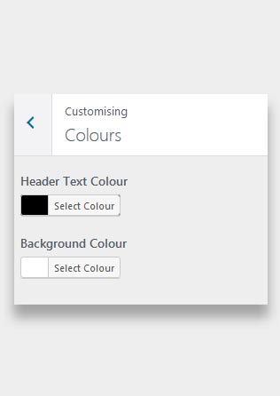 What Is A Theme? (And The Steps To Choose One) 9 Change colours