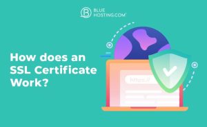 How does an SSL Certificate work? - Hosting.co.uk