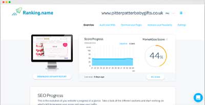 The Best SEO Tool for Website Analysis 10 Image
