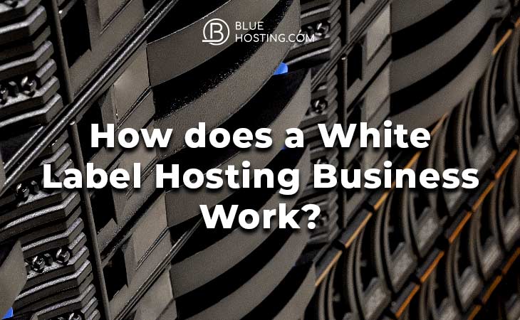 how does a white label hosting business work
